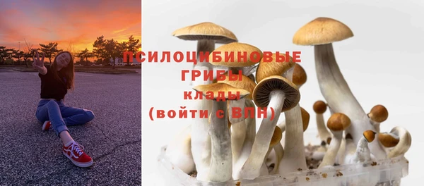 PSILOCYBIN Луховицы