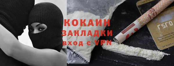 шишки Лысково