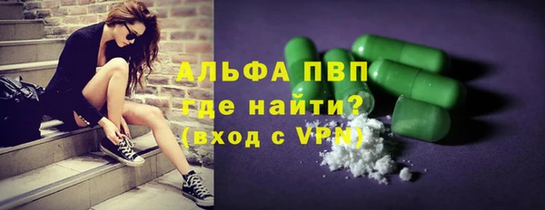 шишки Сатка
