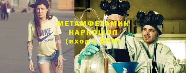 шишки Сатка